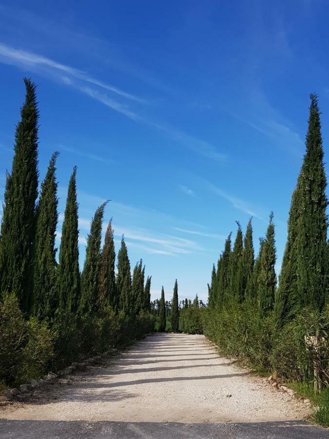 Le Mas de Guiguite Mézoargues Extérieur photo
