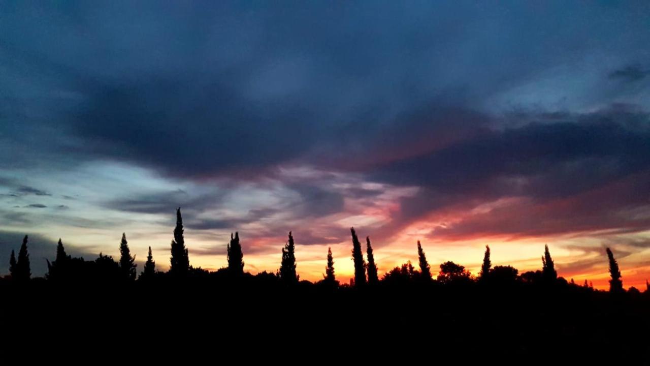 Le Mas de Guiguite Mézoargues Extérieur photo